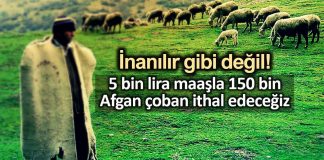 5 bin lira maaşla 150 bin Afgan çoban ithal edeceğiz!