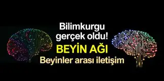 Beyin Ağı: Beyinler arası iletişim ilk kez gerçekleşti! Beyin Ağı: Beyinler arası iletişim ilk kez gerçekleşti!
