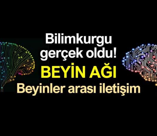 Beyin Ağı: Beyinler arası iletişim ilk kez gerçekleşti!