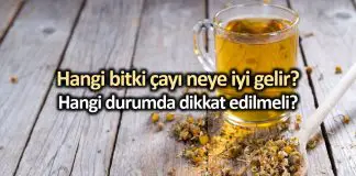 Bitki çayları neye iyi gelir? Zencefil, ıhlamur, adaçayı, papatya, kiraz sapı Bitki çaylarının faydaları: Zencefil, ıhlamur, adaçayı, papatya, kiraz sapı