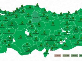 Geleceğe Nefes kampanyası ile 11 milyon fidan dikimi