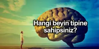 Hangi beyin tipine sahipsiniz? Beyniniz sizinle ilgili neler söylüyor? Hangi beyin tipine sahipsiniz? Beyniniz sizinle ilgili neler söylüyor?