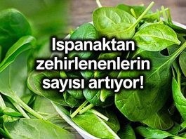 Ispanak zehirlenmesi belirtileri nedeniyle 44 kişi hastanelere başvurdu