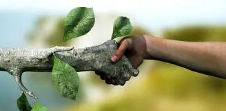 Kurtuluş doğadır! Kurtuluş doğadır!