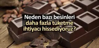 Neden bazı yiyecekleri daha fazla tüketme ihtiyacı hissediyoruz? Neden bazı yiyecekleri daha fazla tüketme ihtiyacı hissediyoruz?