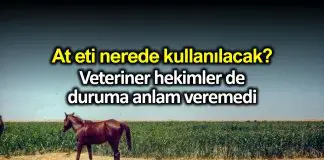 At eti nerede kullanılacak? Veteriner hekimler duruma anlam veremedi At eti nerede kullanılacak? Veteriner hekimler duruma anlam veremedi