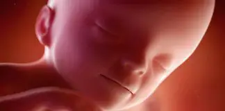 Bilimsel araştırmaya göre çocuklar zekalarını anneden alıyor Bilimsel araştırmaya göre çocuklar zekalarını anneden alıyor