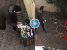 Kedilerin önünden mamalarını alıp çöpe attı