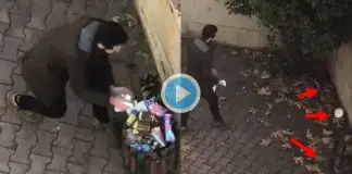 Kedilerin önünden mamalarını alıp çöpe attı Kedilerin önünden mamalarını alıp çöpe attı