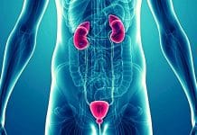 Ürolojik kanserlerin geç teşhisinde en önemli neden utanma Ürolojik kanserlerin geç teşhisinde en önemli neden utanma