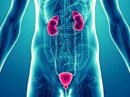 Ürolojik kanserlerin geç teşhisinde en önemli neden utanma