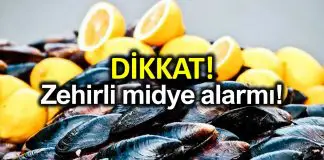 Zehirli midye uyarısı: İstanbul’da midye yerken dikkat! Zehirli midye alarmı: Rota virüs, hepatit, kolera yapıyor!