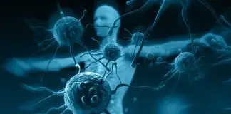 Bağışıklık sistemini güçlendirme konusunda püf noktalar neler? Bağışıklık sisteminiz kışa ne kadar hazır?
