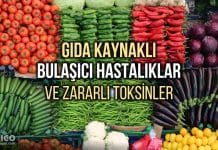 Gıda güvenliği: Bulaşıcı hastalıkların nedenleri neler? Gıda güvenliği: Bulaşıcı hastalıkların nedenleri neler?