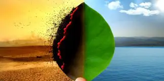 İklim değişikliği sağlık ve yaşam alanlarını nasıl etkileyecek? İklim değişikliği sağlık ve yaşam alanlarını nasıl etkileyecek?