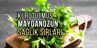 Maydanoz faydaları neler? Kurutulmuş maydanozun sırrı Maydanoz faydaları neler? Kurutulmuş maydanozun sırrı