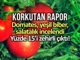 greenpeace akdeniz Türkiye de salatalık, domates ve biberin yüzde 15 pestisit içeriyor!