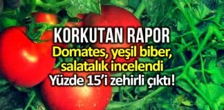 greenpeace akdeniz Türkiye de salatalık, domates ve biberin yüzde 15 pestisit içeriyor!