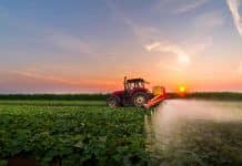 Türkiye’de pestisit denetimleri yeterli değil! Türkiye de pestisit denetimleri yeterli değil!