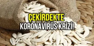 Çekirdekte koronavirüs krizi! Çekirdekte koronavirüs krizi!