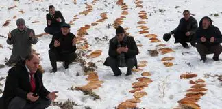 İnançlı olmak değil, bilimsellikten uzak olmak mahveder! İnançlı olmak değil, bilimsellikten uzak olmak mahveder! doğaya ekmek bırakmak deprem