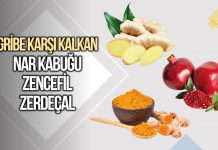 Gribe karşı kalkan: Nar kabuğu, zencefil, zerdeçal etkisi Gribe karşı kalkan: Nar kabuğu, zencefil, zerdeçal etkisi