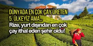 Rize yurt dışından en çok çay ithal eden şehir oldu! Rize yurt dışından en çok çay ithal eden şehir oldu!
