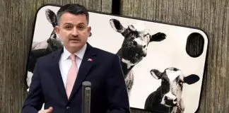 Tarım Bakanı Pakdemirli: Büyükbaş hayvanlar veterinere SMS atacak Tarım Bakanı Pakdemirli: Büyükbaş hayvanlar veterinere SMS atacak