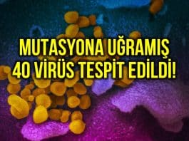 Corona hastalarında mutasyona uğramış 40 virüs tespit edildi!