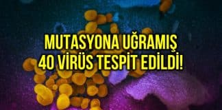 Corona hastalarında mutasyona uğramış 40 virüs tespit edildi!