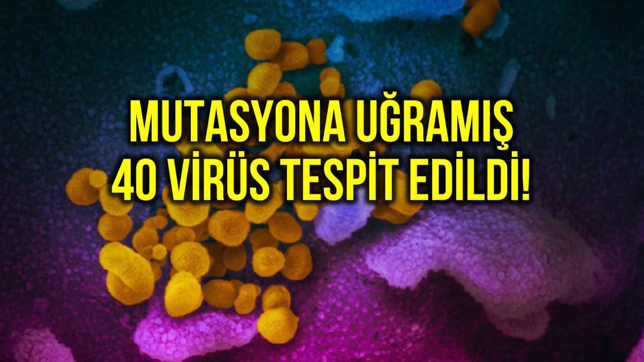 Corona hastalarında mutasyona uğramış 40 virüs tespit edildi!