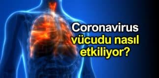 Corona virüsü (Covid-19) vücudu nasıl etkiliyor?