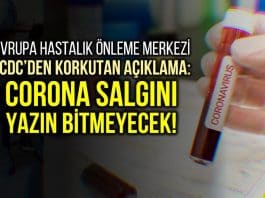 Avrupa Hastalık Önleme Merkezi ECDC: Corona salgını yazın bitmeyecek!