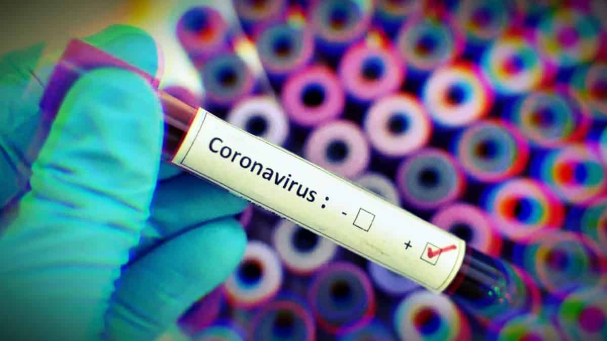 Çinli bilim insanları: Koronavirüs mutasyona uğradı, iki tip virüs oluştu