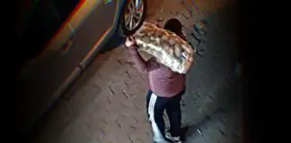 Bu halk, işte o halktır! Bu halk, işte o halktır!