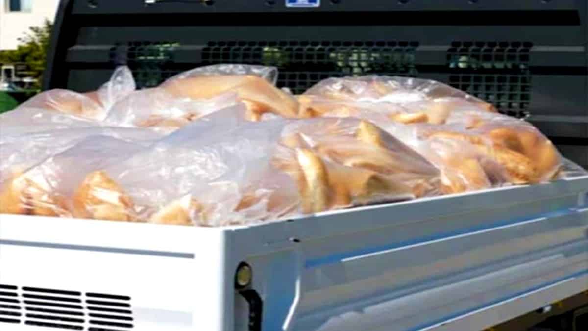 CHP li Muğla Büyükşehir Belediyesi'ne ekmek dağıtma yasağı