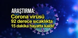 Corona virüsü 92 derece sıcaklıkta 15 dakika hayatta kaldı