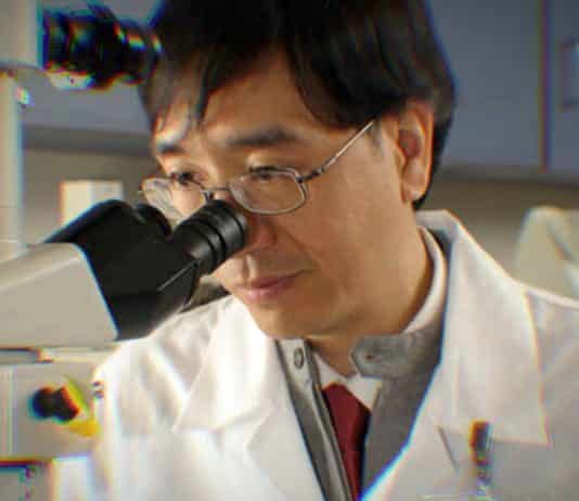 Hong Kong'dan araştırma: Corona virüsü yazın sona ermeyecek!