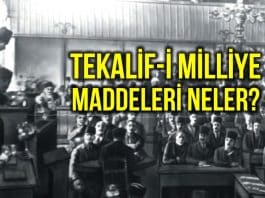 Tekalif-i Milliye emirleri nedir? Maddeleri neler?