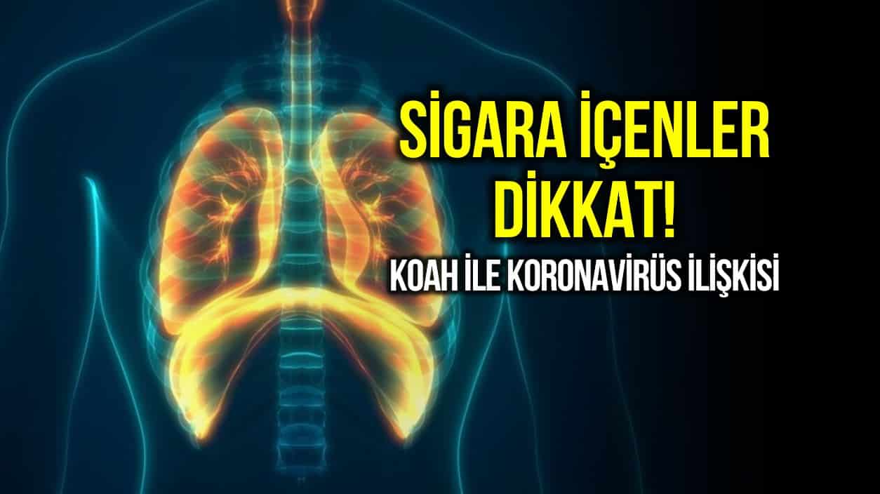 Corona virüsün sigara kullanımı ve KOAH hastalığı ile ilişkisi