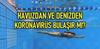 Denize ve havuza girmek güvenli mi? Corona virüsü yüzmeyle bulaşır mı? Denize ve havuza girmek güvenli mi? Corona virüsü yüzmeyle bulaşır mı?