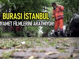 İstanbul da kıyamet filmlerini aratmayan görüntüler: Sokak ve kaldırım taşlarında otlar yeşermeye başladı!