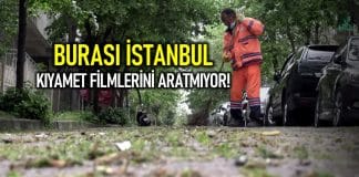 İstanbul da kıyamet filmlerini aratmayan görüntüler: Sokak ve kaldırım taşlarında otlar yeşermeye başladı!