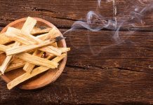 Palo Santo tütsüsünün gizemi: Güney Amerika’da yetişen mistik ağaç Palo Santo tütsüsünün gizemi: Güney Amerika'da yetişen mistik ağaç