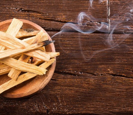 Palo Santo tütsüsünün gizemi: Güney Amerika'da yetişen mistik ağaç