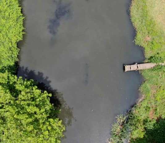 Eskiden suyu içilen Riva Deresi artık kirlilikten siyah akıyor!