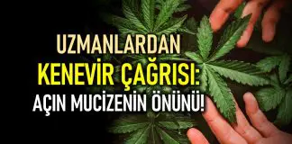 Uzmanlardan kenevir çağrısı: Açın mucizenin önünü! Uzmanlardan kenevir çağrısı: Açın mucizenin önünü!