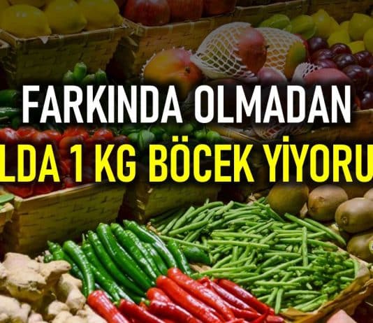 Farkında olmadan yılda 1 kilogram böcek yiyoruz!