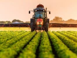 AVM ekonomisinden üretim ekonomisine geçiş