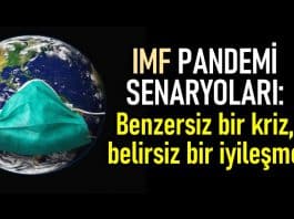 imf türkiye küçülme